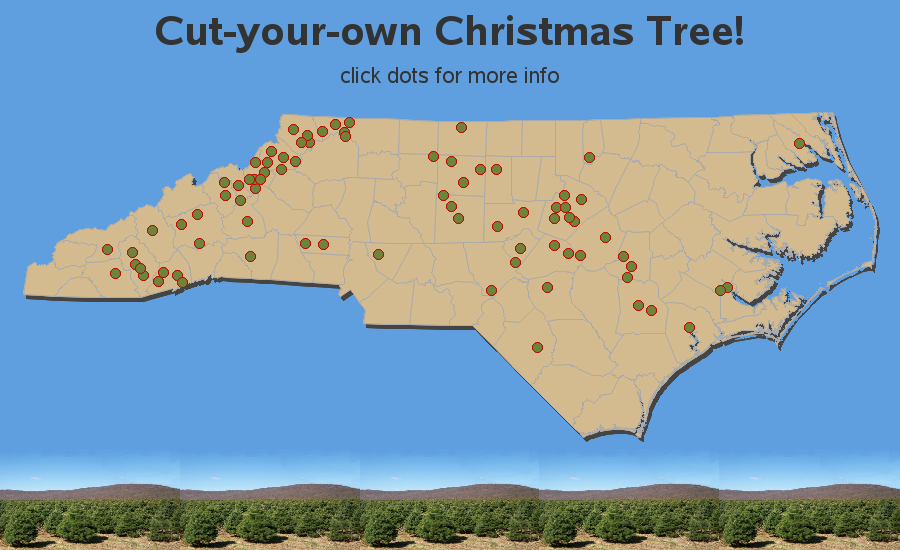 Cut-Your-Own Christmas Tree Farms in North Carolina (NC)