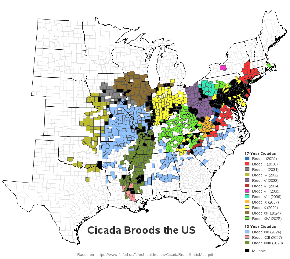 Cicada Brood Map 2024 Dasha Emmalee