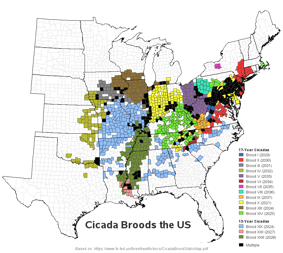 Cicadas 2024 Map With Dates And Times Ardeen Dalenna