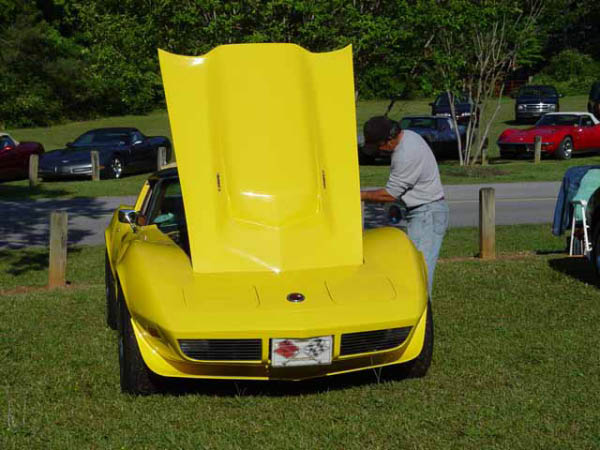 Banana Vette