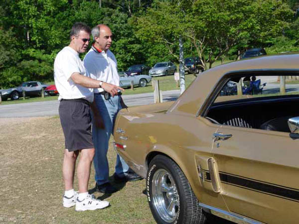 Gold Mustang