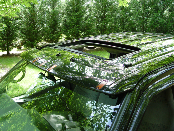 Custom Sunroof and Visor