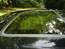 Custom Sunroof - top view